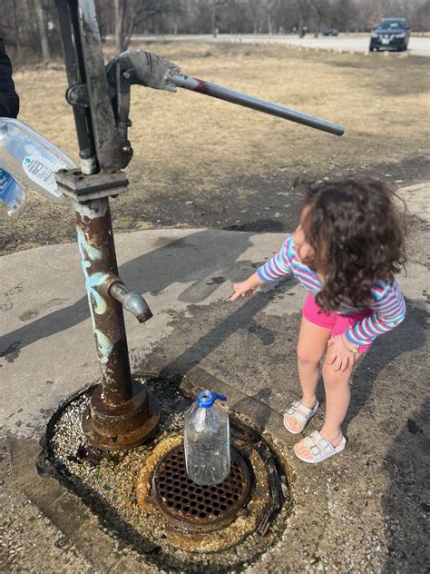 Diving into the History of Schiller Woods' Legendary Water Pump